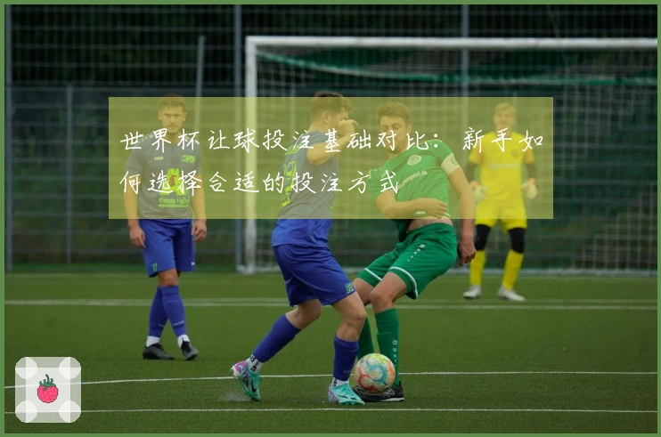 世界杯让球投注基础对比：新手如何选择合适的投注方式