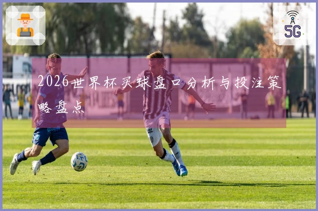 2026世界杯买球盘口分析与投注策略盘点