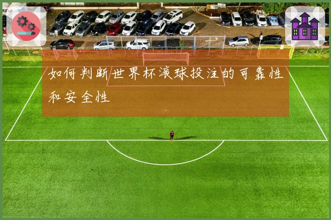 如何判断世界杯滚球投注的可靠性和安全性