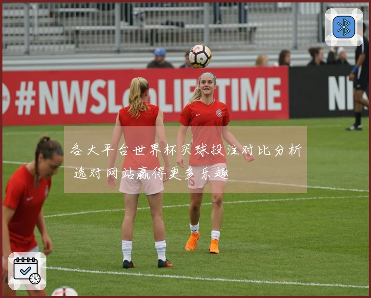 各大平台世界杯买球投注对比分析 选对网站赢得更多乐趣