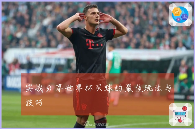 实战分享世界杯买球的最佳玩法与技巧