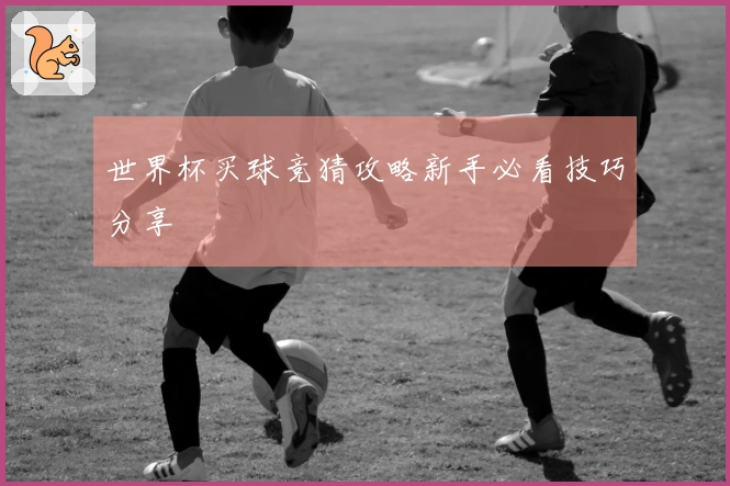 世界杯买球竞猜攻略新手必看技巧分享