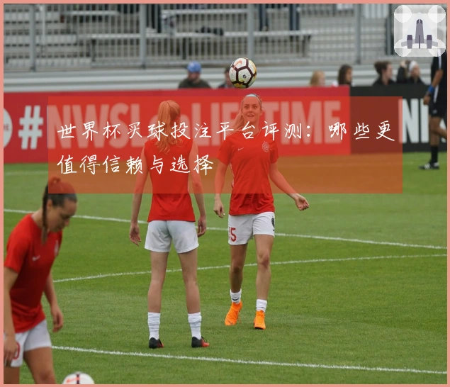 世界杯买球投注平台评测：哪些更值得信赖与选择