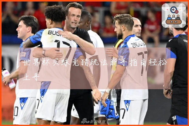 世界杯买球竞猜玩法新手指南轻松上手