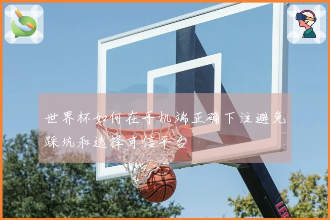 世界杯如何在手机端正确下注避免踩坑和选择可信平台