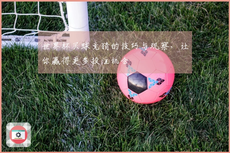 世界杯买球竞猜的技巧与观察，让你赢得更多投注机会