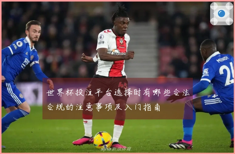 世界杯投注平台选择时有哪些合法合规的注意事项及入门指南