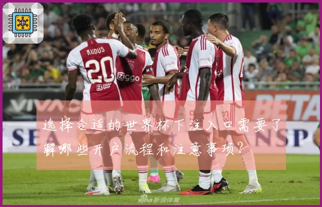 选择合适的世界杯下注入口需要了解哪些开户流程和注意事项？