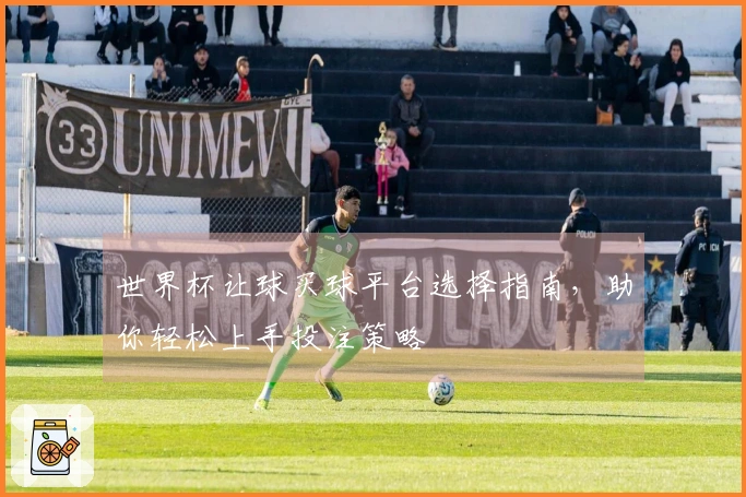 世界杯让球买球平台选择指南，助你轻松上手投注策略