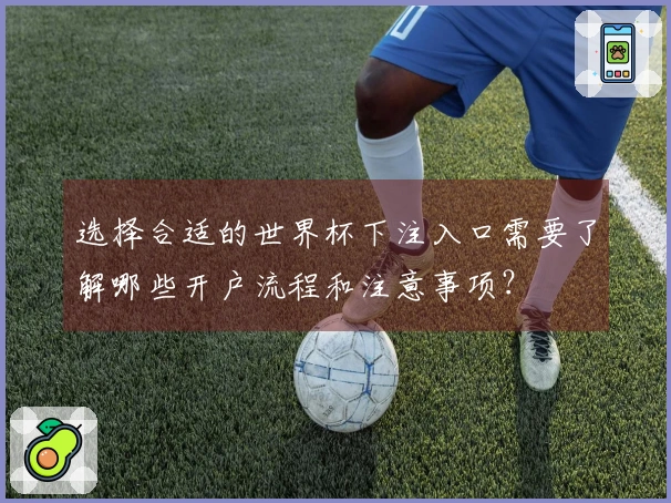 选择合适的世界杯下注入口需要了解哪些开户流程和注意事项？