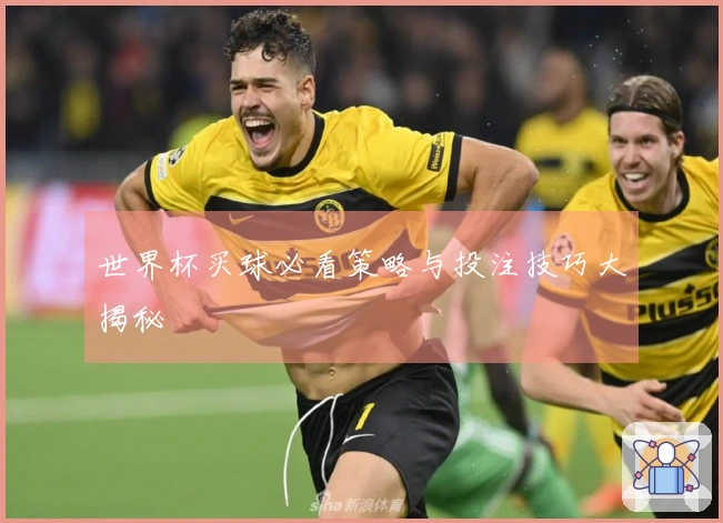 世界杯买球必看策略与投注技巧大揭秘