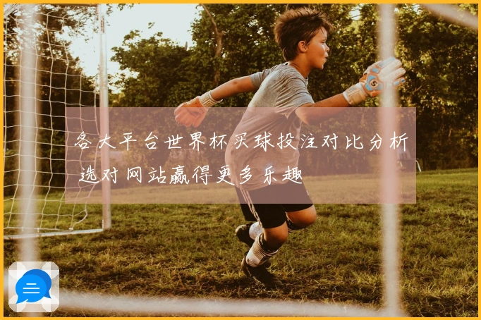 各大平台世界杯买球投注对比分析 选对网站赢得更多乐趣