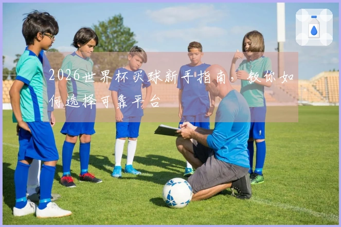 2026世界杯买球新手指南，教你如何选择可靠平台