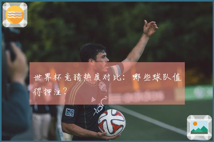 世界杯竞猜热度对比：哪些球队值得押注？