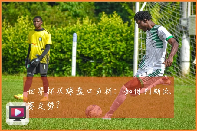 世界杯买球盘口分析：如何判断比赛走势？
