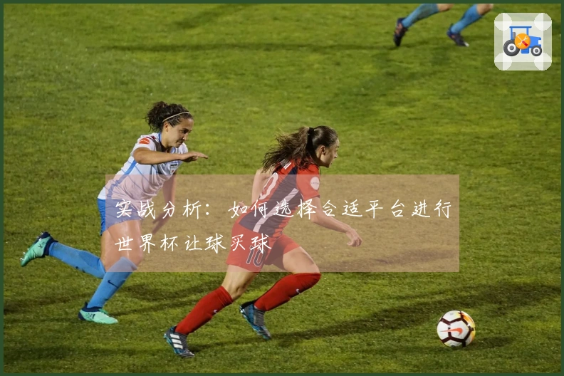实战分析：如何选择合适平台进行世界杯让球买球