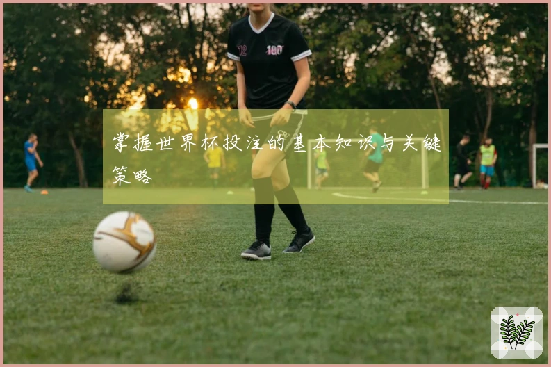 掌握世界杯投注的基本知识与关键策略