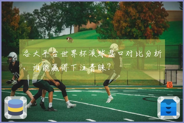 各大平台世界杯滚球盘口对比分析，谁能赢得下注青睐？