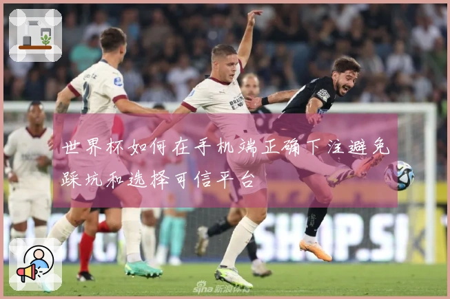 世界杯如何在手机端正确下注避免踩坑和选择可信平台