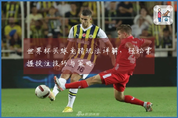 世界杯买球竞猜玩法详解，轻松掌握投注技巧与策略