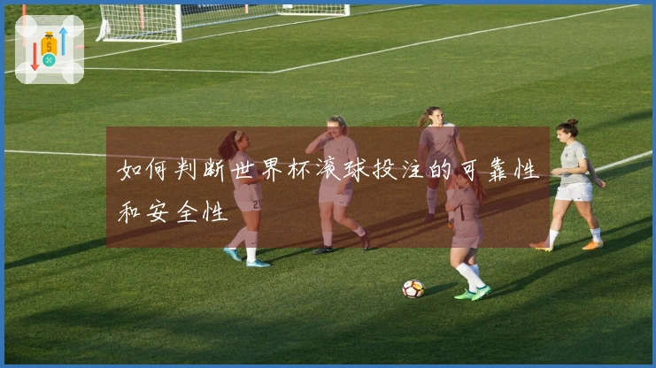 如何判断世界杯滚球投注的可靠性和安全性